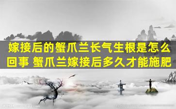 嫁接后的蟹爪兰长气生根是怎么回事 蟹爪兰嫁接后多久才能施肥